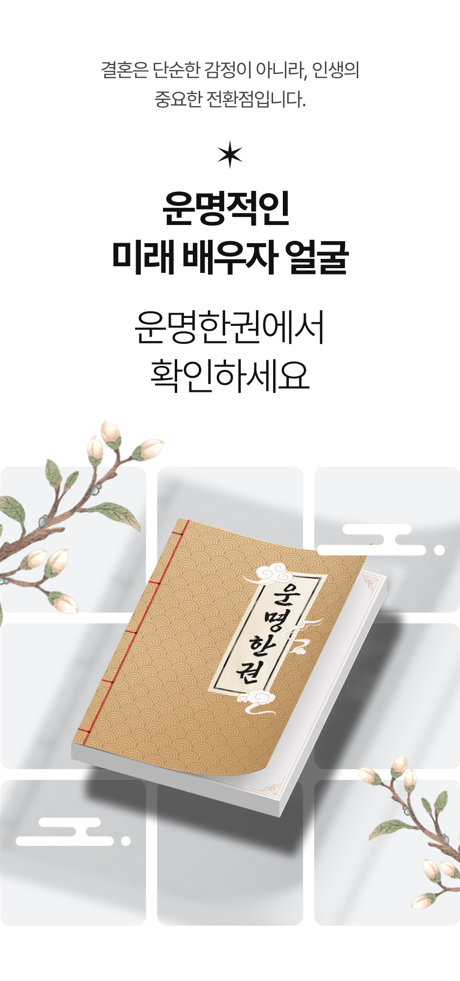 배우자 상세 이미지14